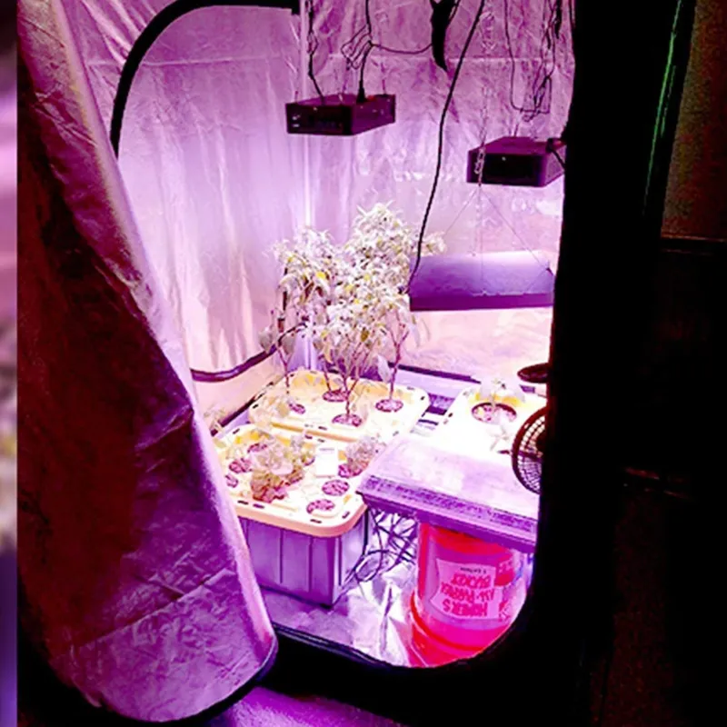 Grow Tent 4X4 - 新型トレンド グロウテント 4x4 室内栽培用 ガーデン植物育成 温室