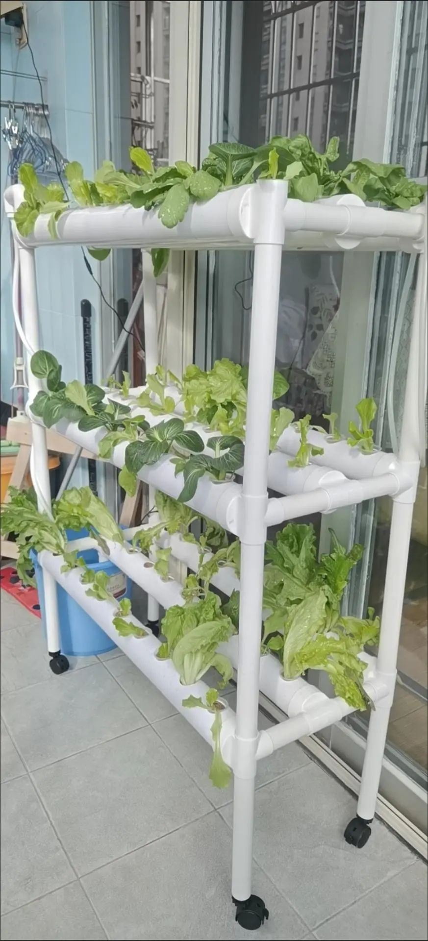 中国製グロテント 室内植物栽培用 Meijiu 600D 水 - Grow Tent 4X4 のレビューと価格